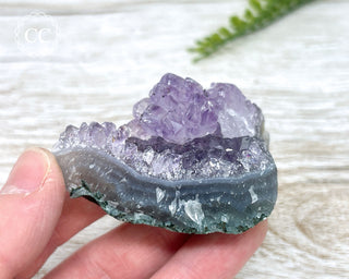 Amethyst Cluster #12