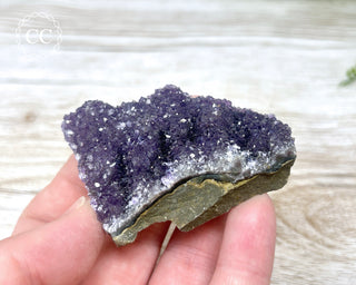 Amethyst Cluster #11