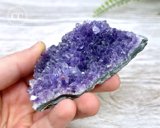 Amethyst Cluster #5