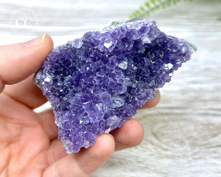 Amethyst Cluster #5