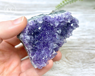 Amethyst Cluster #5