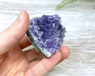 Amethyst Cluster #5
