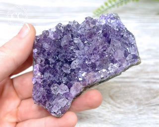 Amethyst Cluster #3