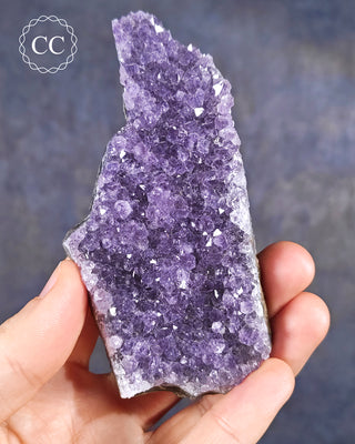 Amethyst Cluster #1