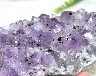 Amethyst Cluster #5