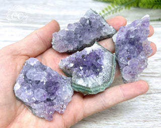 Hand holding 4 small Amethyst Clusters