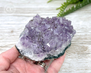 Amethyst Cluster #6