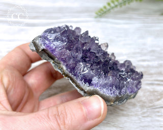 Amethyst Cluster #3