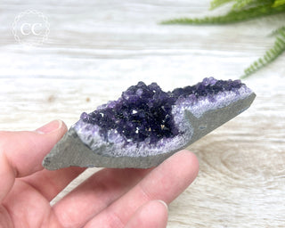 Amethyst Cluster #4