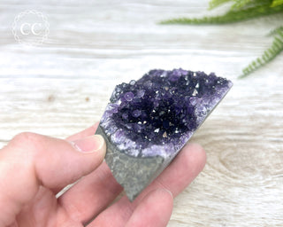Amethyst Cluster #4