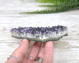 Amethyst Cluster #4