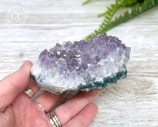 Amethyst Cluster #6