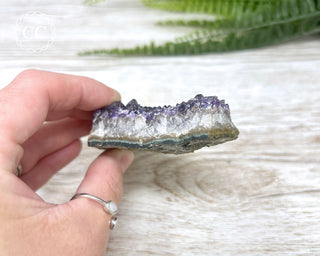 Amethyst Cluster #4