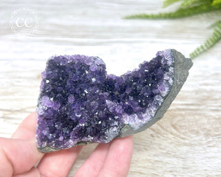 Amethyst Cluster #4