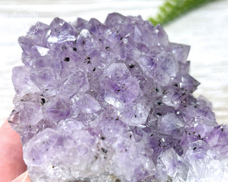 Amethyst Cluster #6