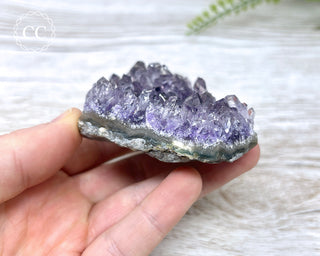 Amethyst Cluster #3