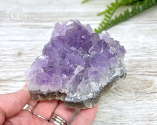 Amethyst Cluster #7