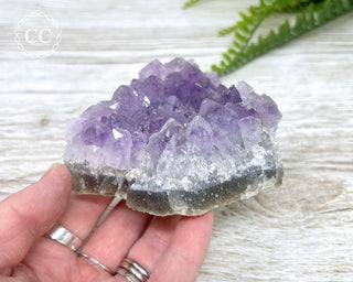 Amethyst Cluster #7