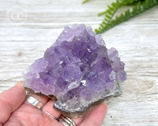 Amethyst Cluster #7