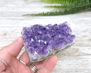 Amethyst Cluster #8