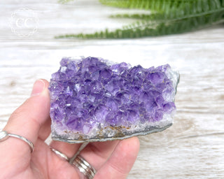 Amethyst Cluster #8