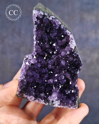 Amethyst Cluster #4