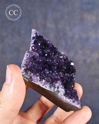 Amethyst Cluster #4