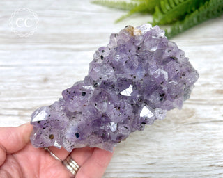 Amethyst Cluster #5