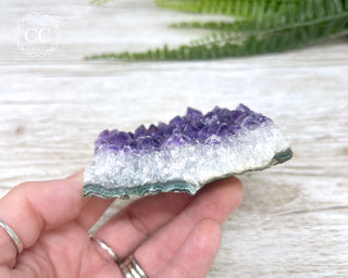 Amethyst Cluster #8