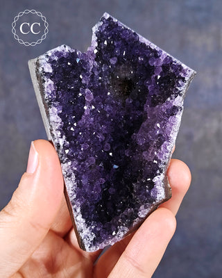Amethyst Cluster #5