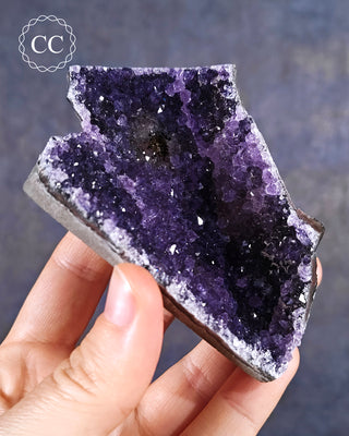 Amethyst Cluster #5