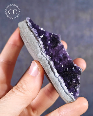 Amethyst Cluster #5