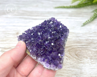 Amethyst Cluster #2
