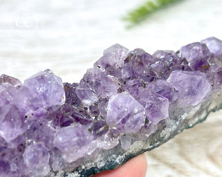 Amethyst Cluster #8