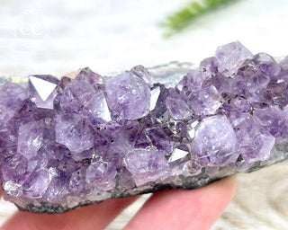 Amethyst Cluster #8