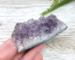 Amethyst Cluster #9