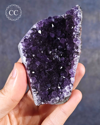 Amethyst Cluster #6