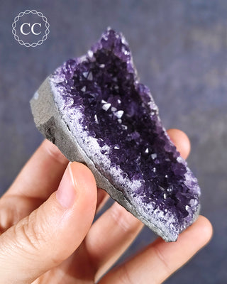 Amethyst Cluster #6