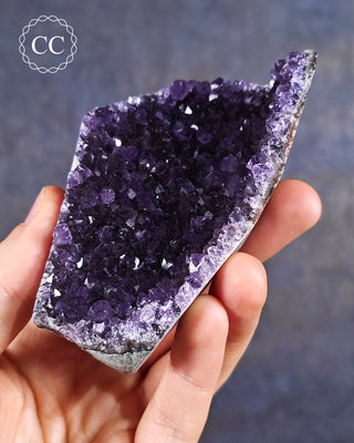 Amethyst Cluster #6