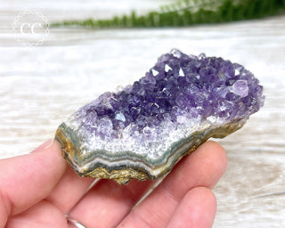 Amethyst Cluster #12