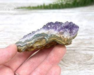 Amethyst Cluster #12