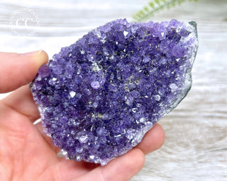 Amethyst Cluster #4