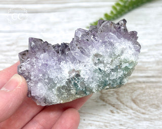 Amethyst Cluster #10