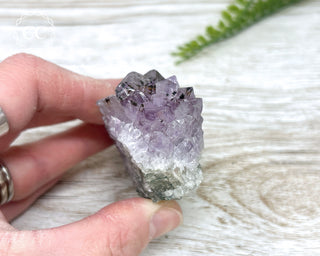 Amethyst Cluster #10