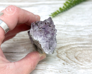 Amethyst Cluster #10