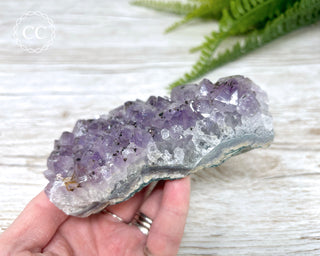 Amethyst Cluster #5