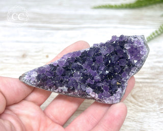 Amethyst Cluster #8