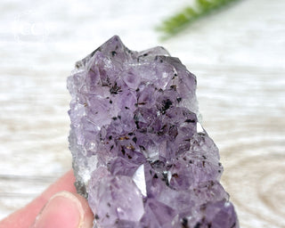 Amethyst Cluster #10