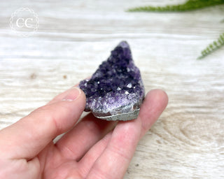 Amethyst Cluster #8