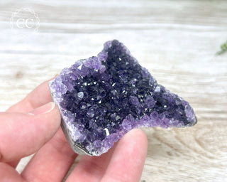 Amethyst Cluster #9